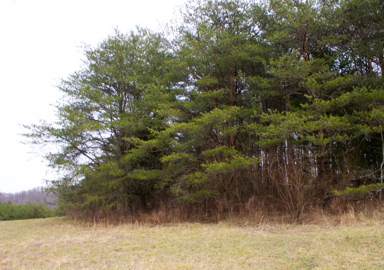 Majestic Rock Ranch Tract 8 photo 7