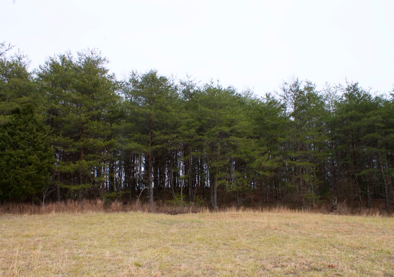 Majestic Rock Ranch Tract 8 photo 8
