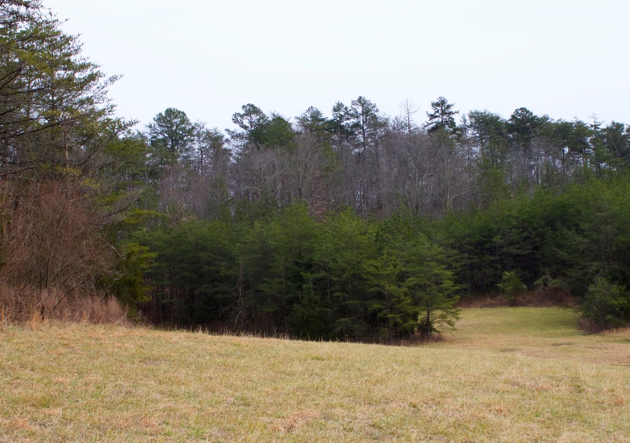 Majestic Rock Ranch Tract 8 photo 9