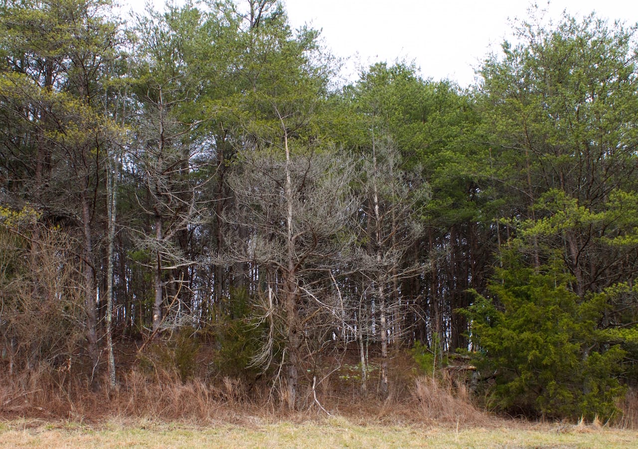Majestic Rock Ranch Tract 8 photo 10