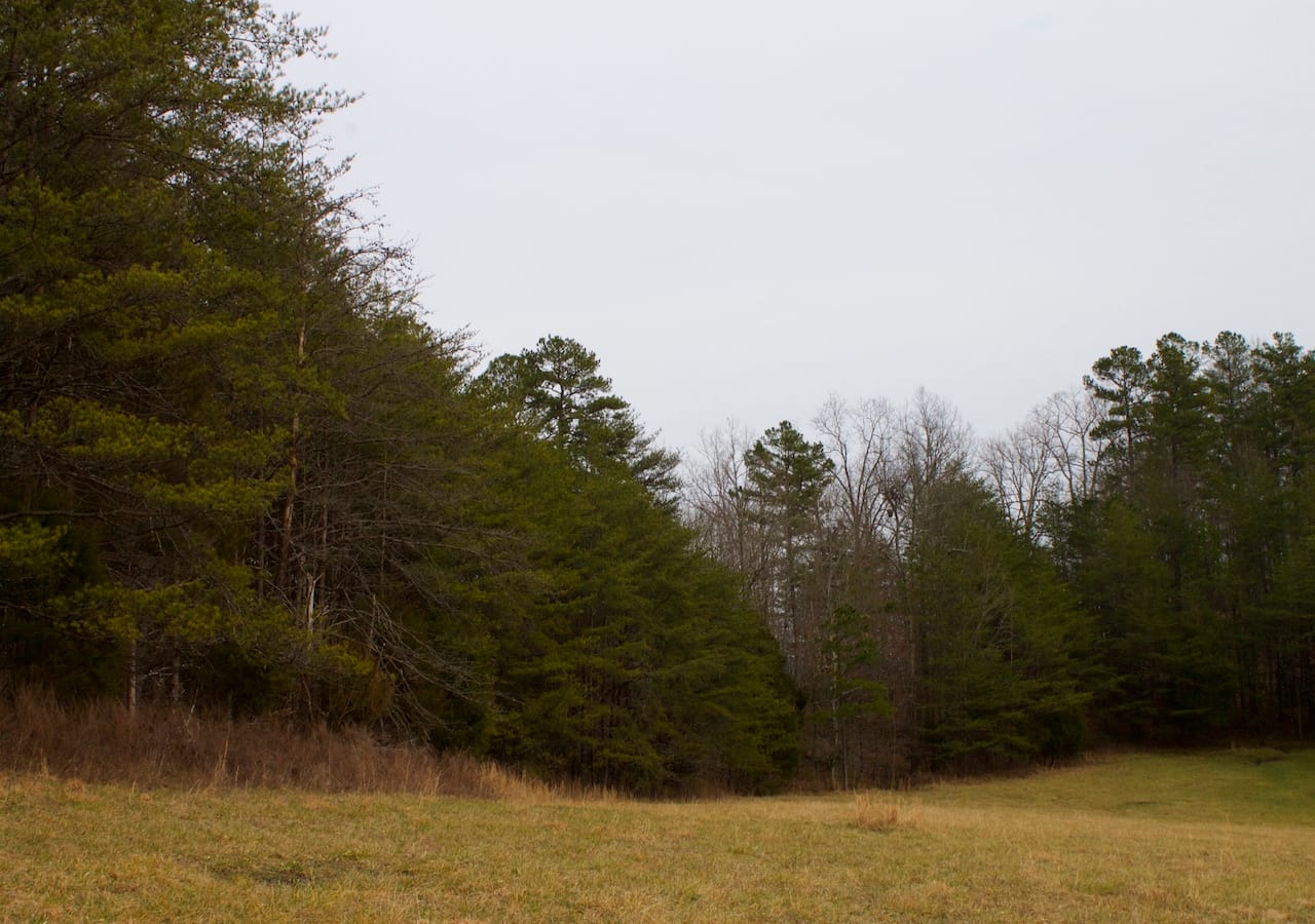 Majestic Rock Ranch Tract 8 photo 11