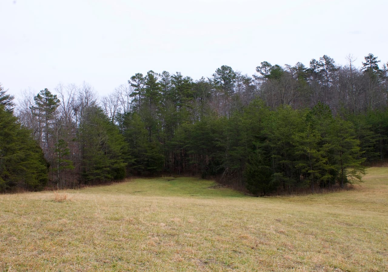 Majestic Rock Ranch Tract 8 photo 12