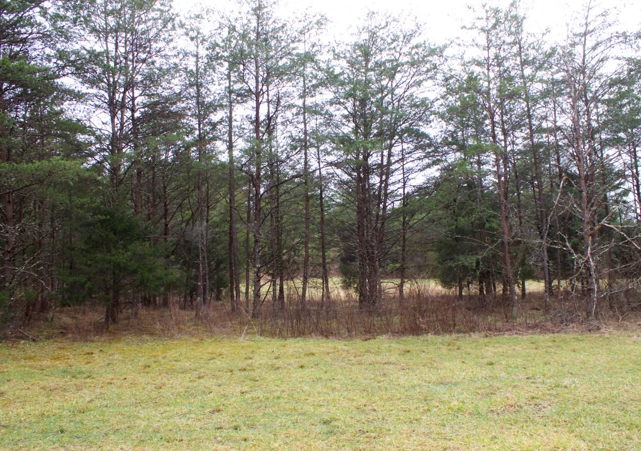 Majestic Rock Ranch Tract 8 photo 14