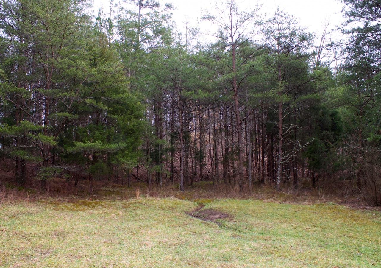 Majestic Rock Ranch Tract 8 photo 15