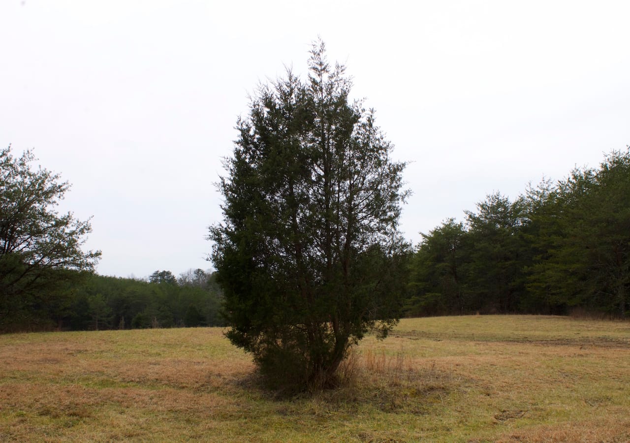 Majestic Rock Ranch Tract 8 photo 19