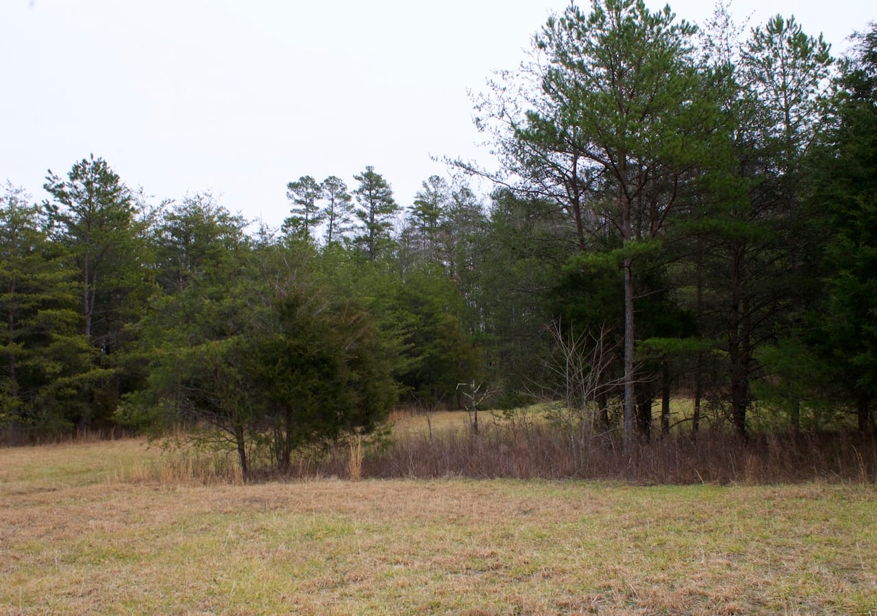 Majestic Rock Ranch Tract 8 photo 20