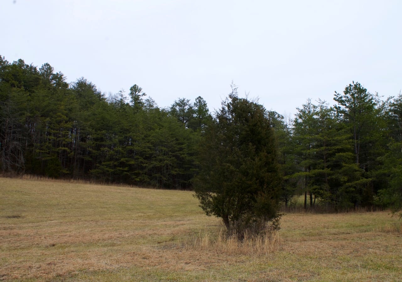 Majestic Rock Ranch Tract 8 photo 21