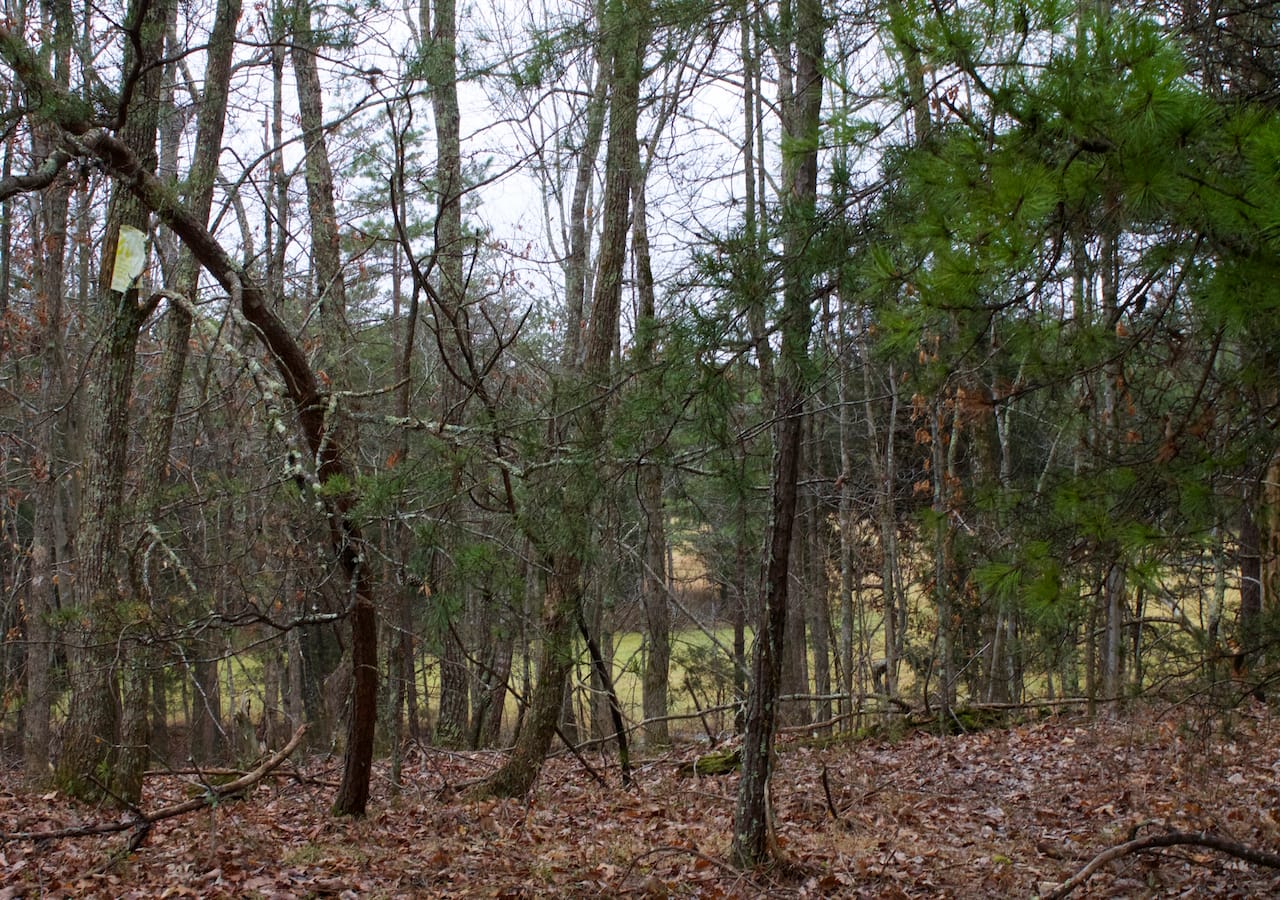 Majestic Rock Ranch Tract 8 photo 22