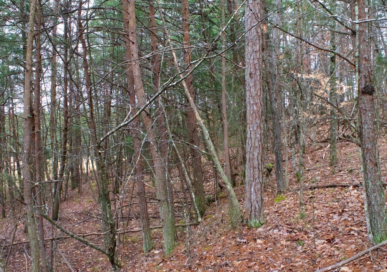 Majestic Rock Ranch Tract 8 photo 23
