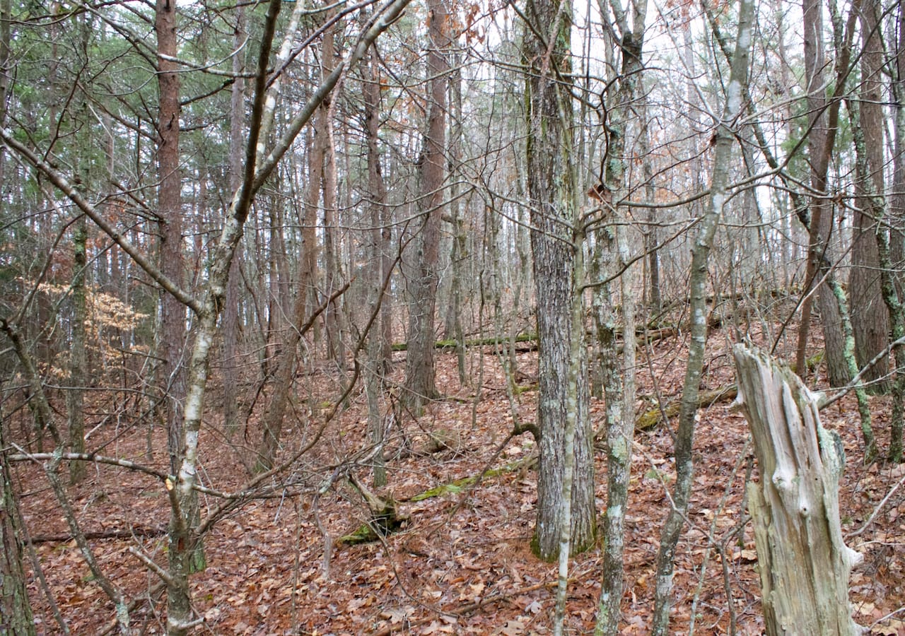 Majestic Rock Ranch Tract 8 photo 24