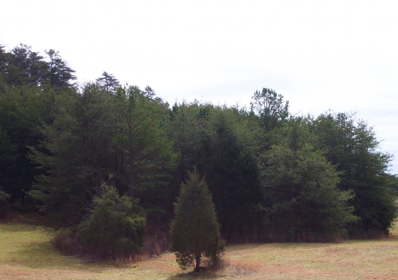 Majestic Rock Ranch Tract 8 photo 26