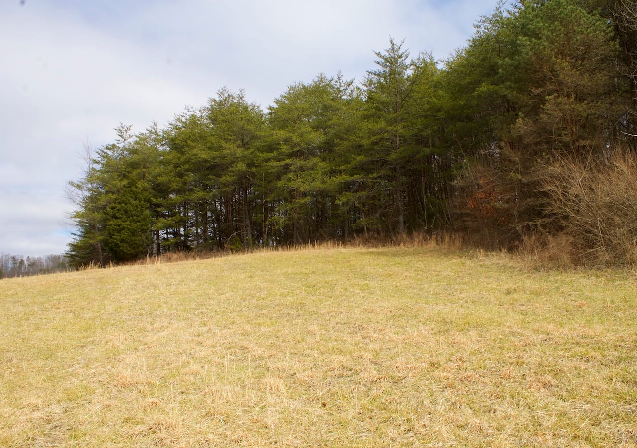 Majestic Rock Ranch Tract 8 photo 30