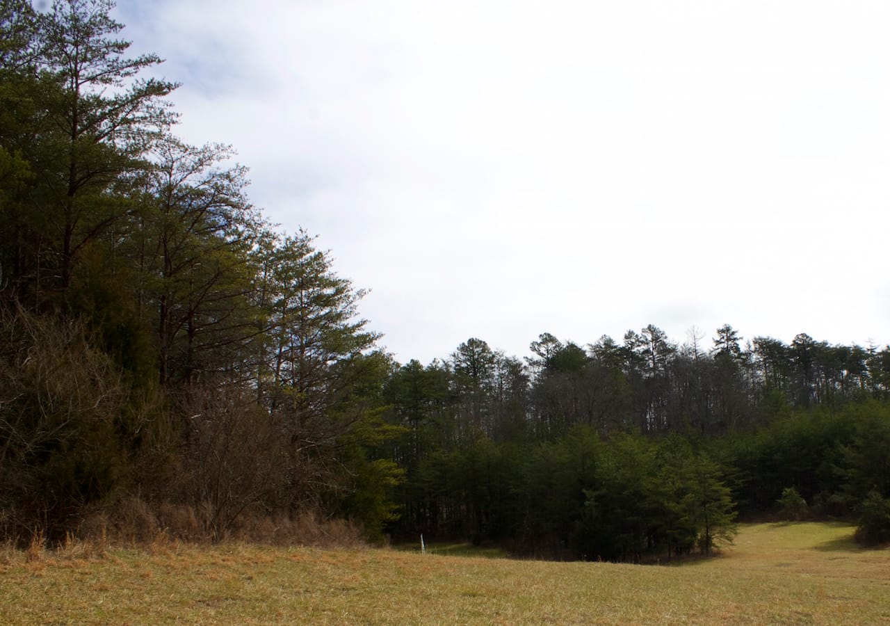 Majestic Rock Ranch Tract 8 photo 31