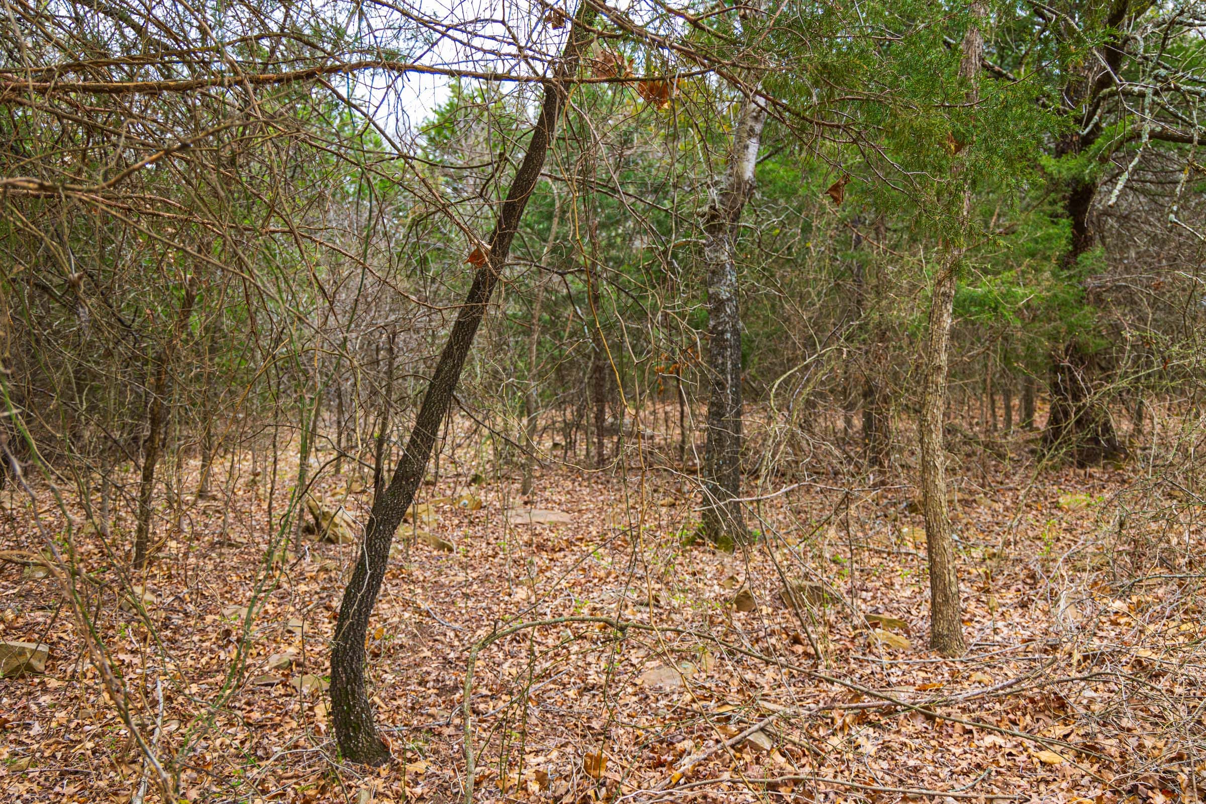Reserves At Cattail Cove Phase I Tract 2 photo 10