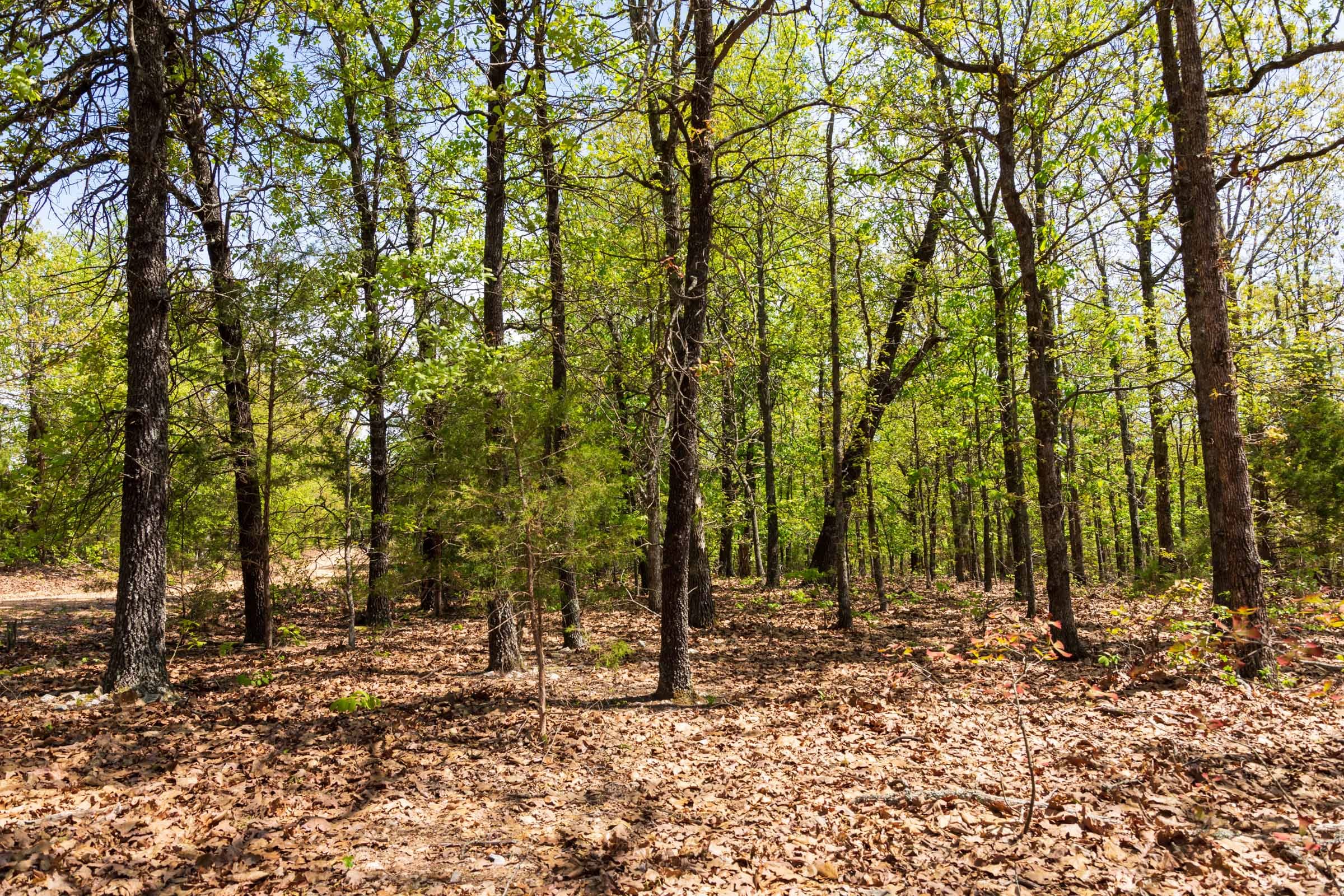 Autumnwood Tract 7 photo 12