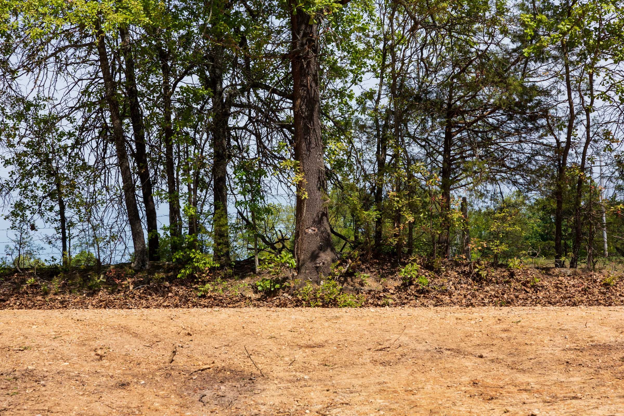 Autumnwood Tract 7 photo 6