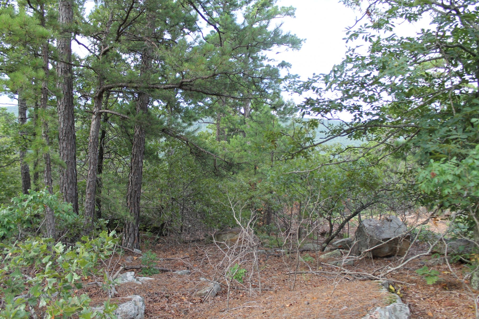 Trophy Ridge Phase III Tract 9 photo 3