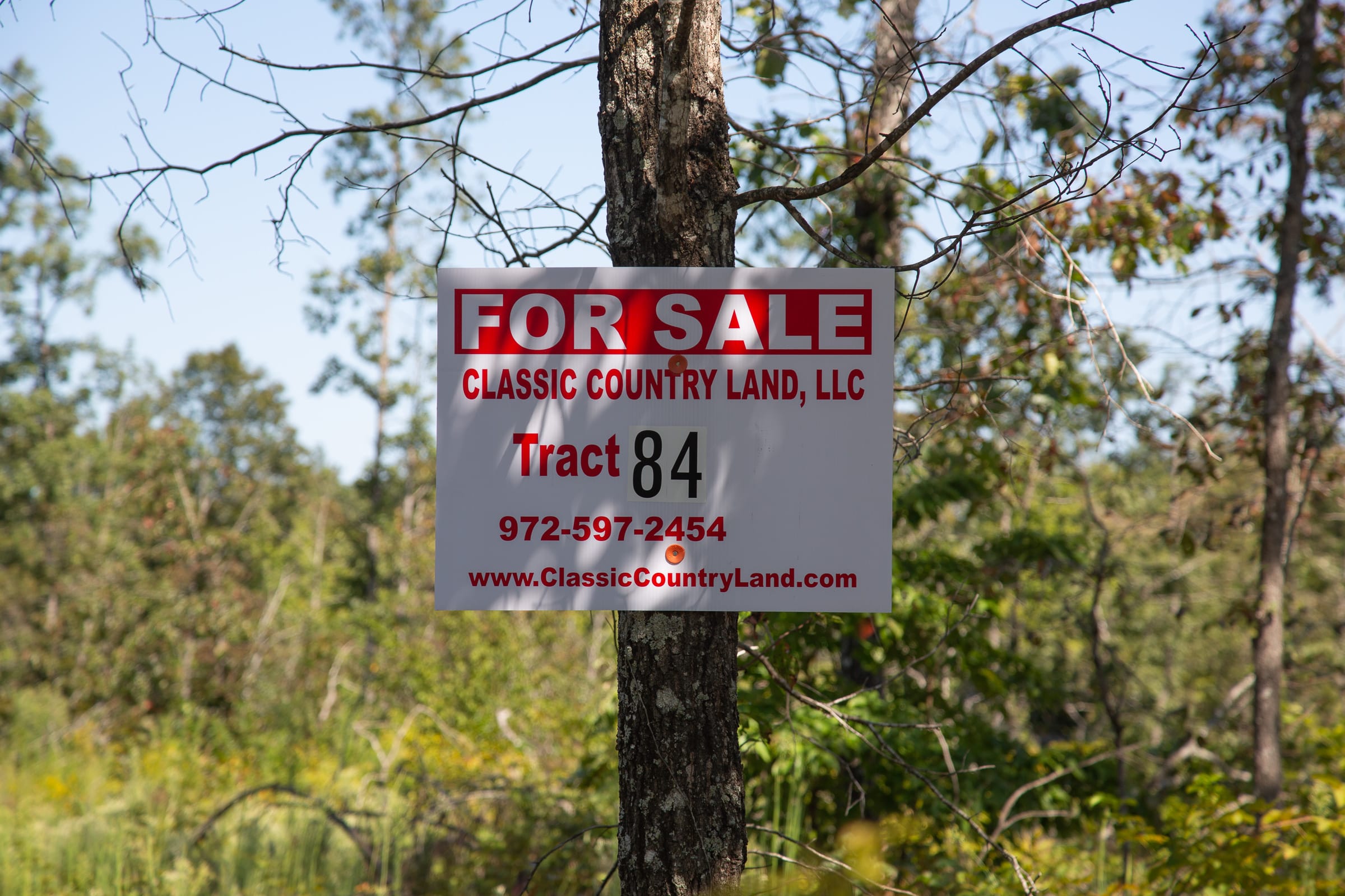 Borgmann’s Hollow Phase III Tract 84 photo 1