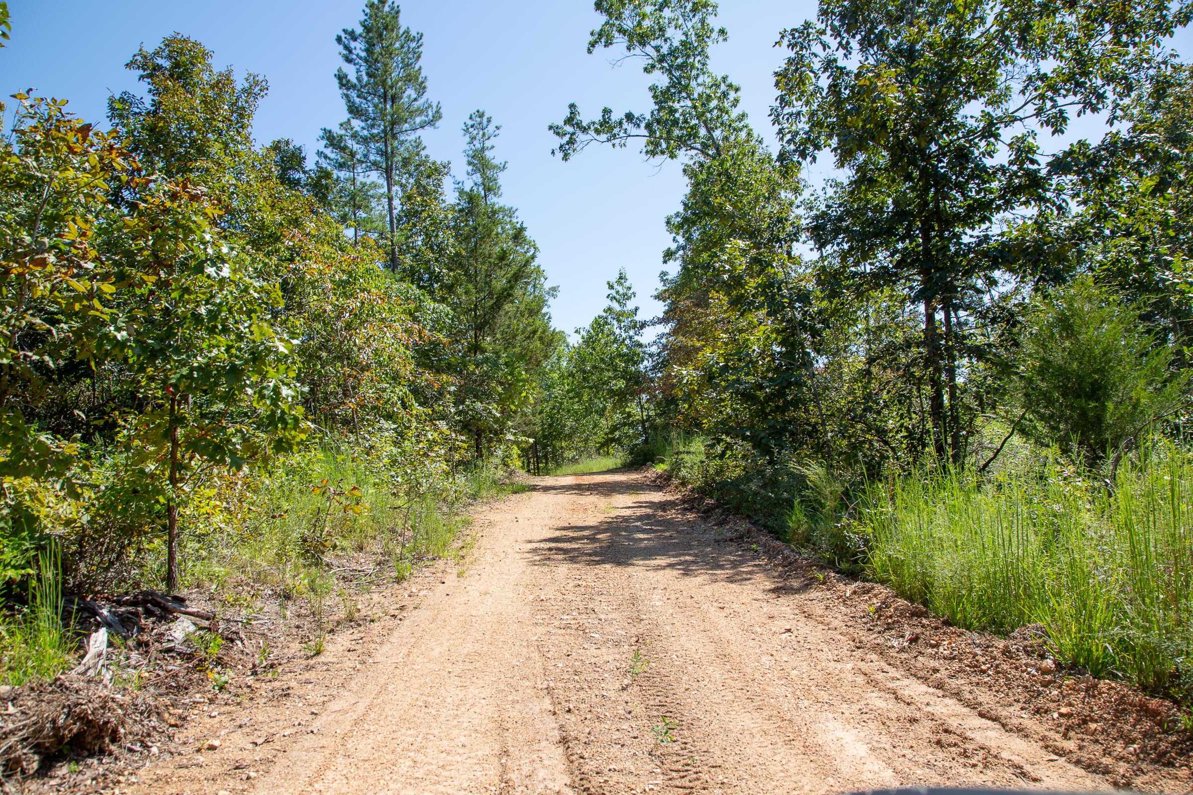 Borgmann’s Hollow Phase III Tract 84 photo 9