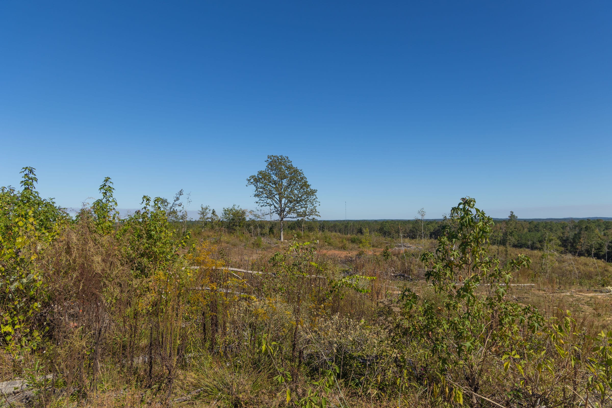 Meyer’s Ridge Tract 37 photo 16