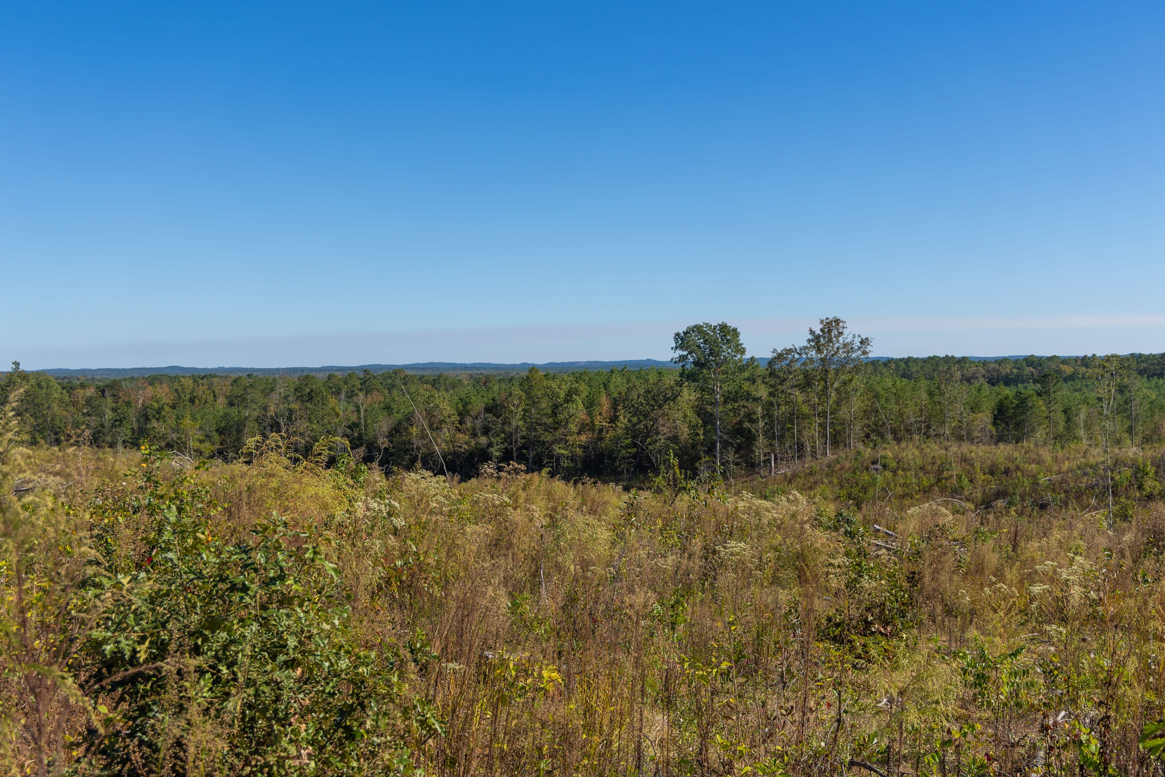 Meyer’s Ridge Tract 37 photo 15