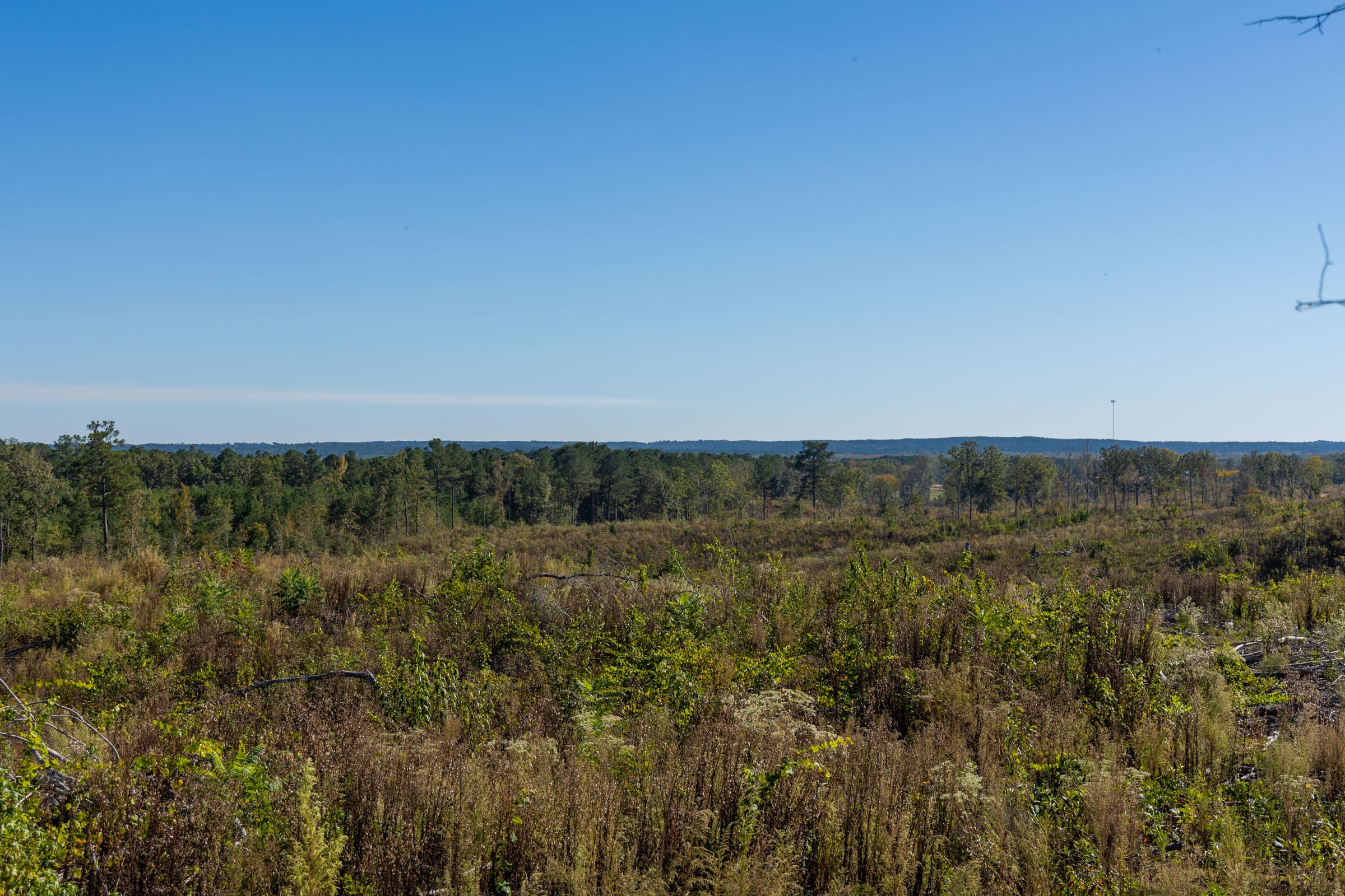Meyer’s Ridge Tract 37 photo 14