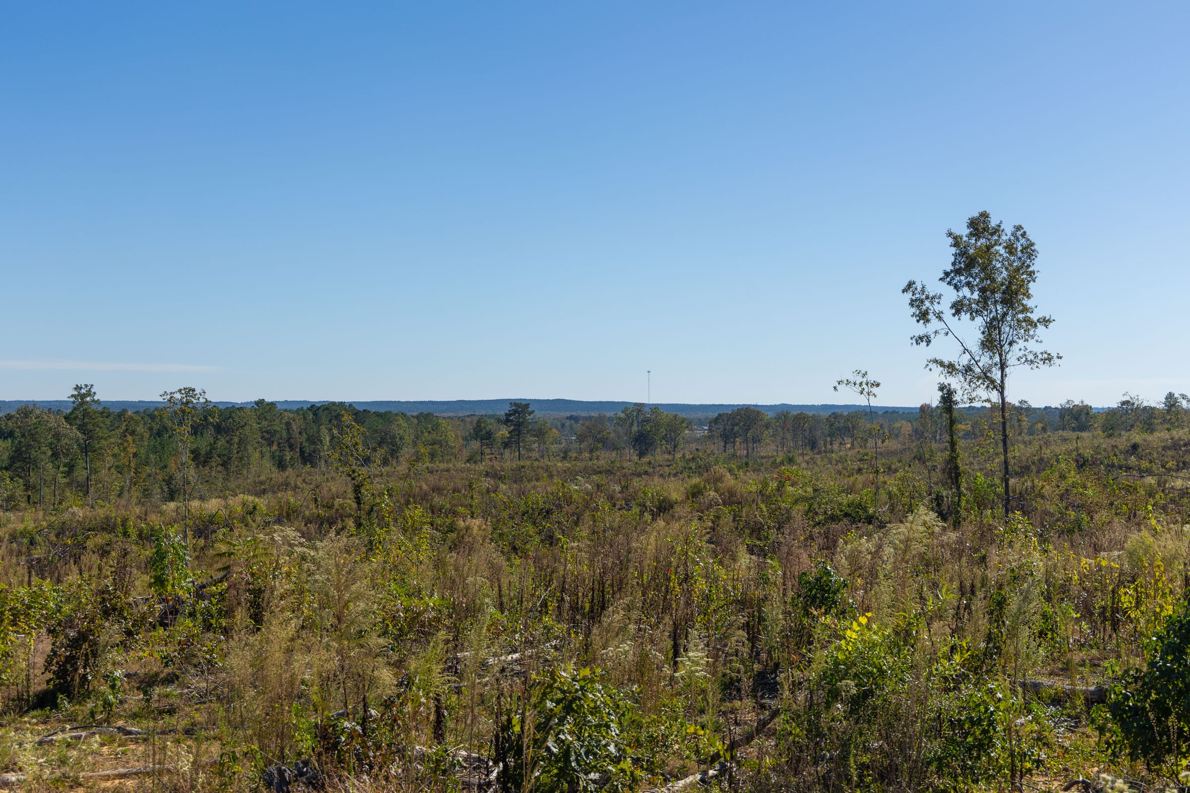 Meyer’s Ridge Tract 37 photo 13