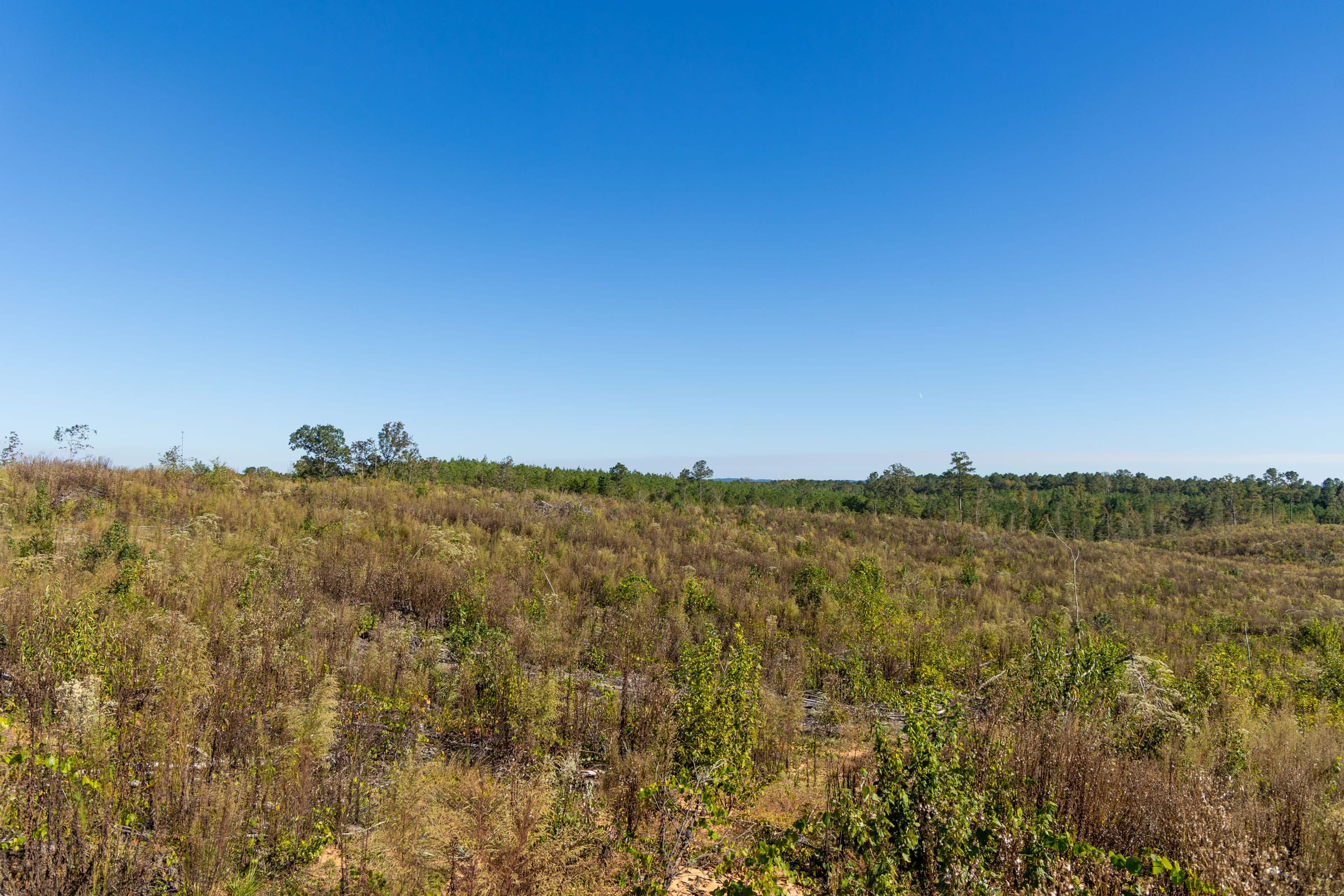 Meyer’s Ridge Tract 37 photo 11