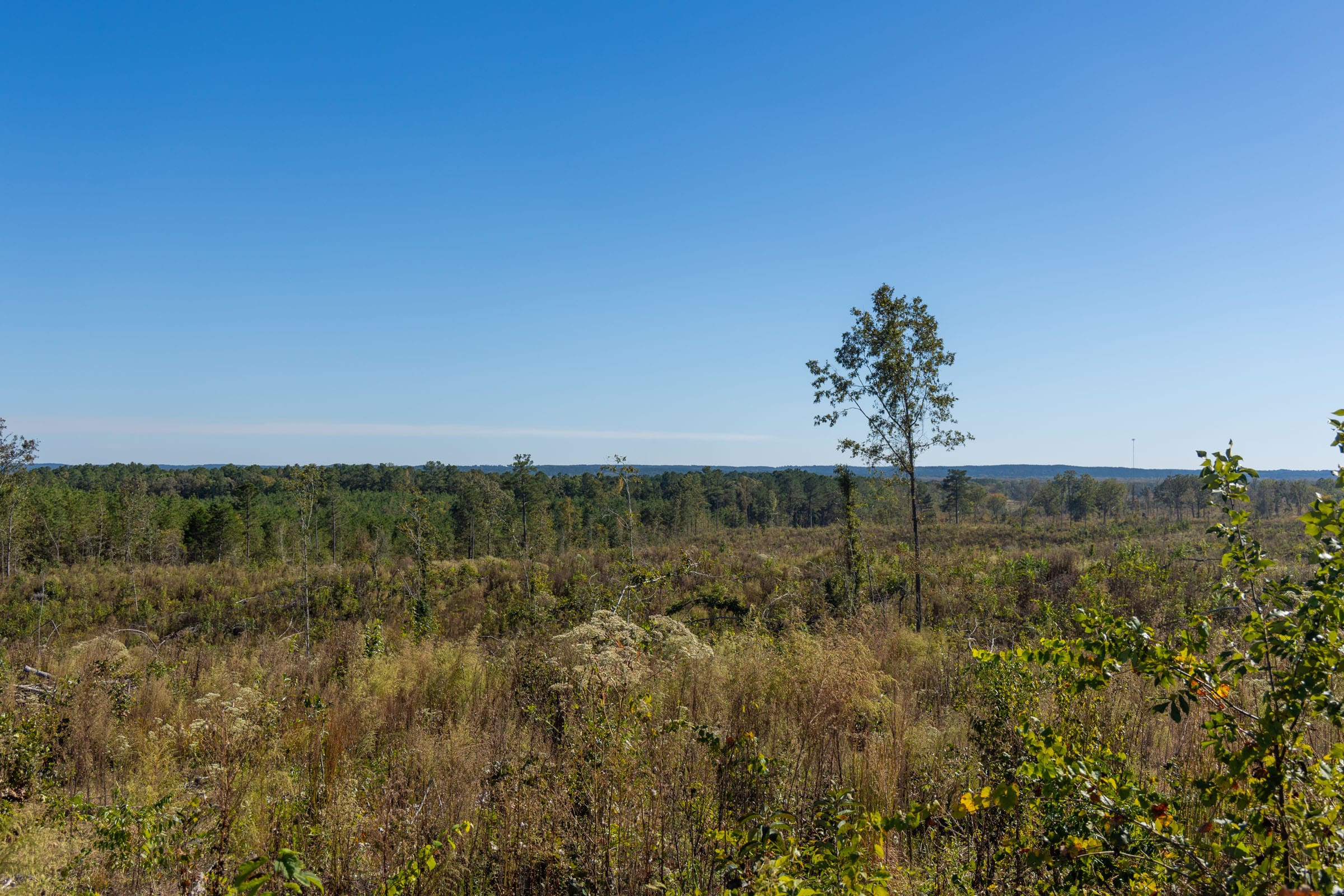 Meyer’s Ridge Tract 37 photo 10