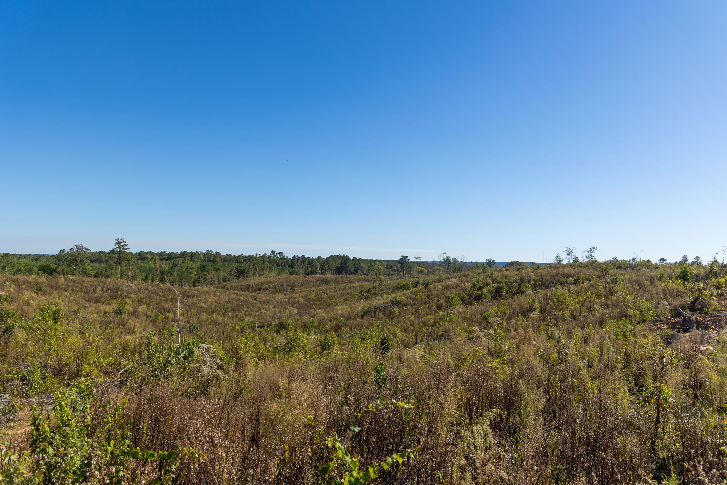 Meyer’s Ridge Tract 37 photo 9