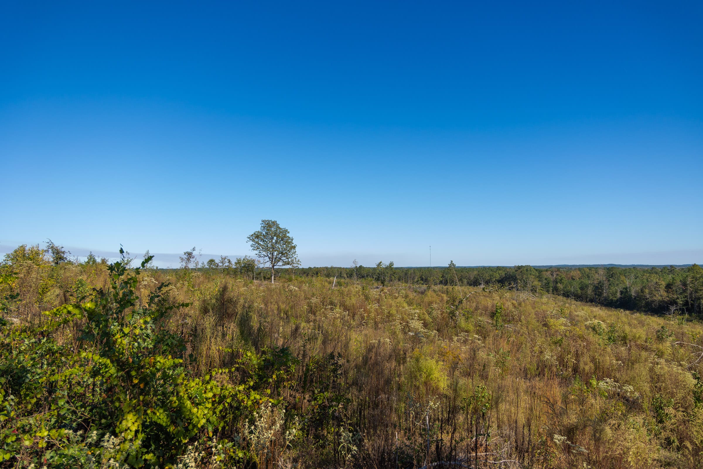 Meyer’s Ridge Tract 37 photo 7