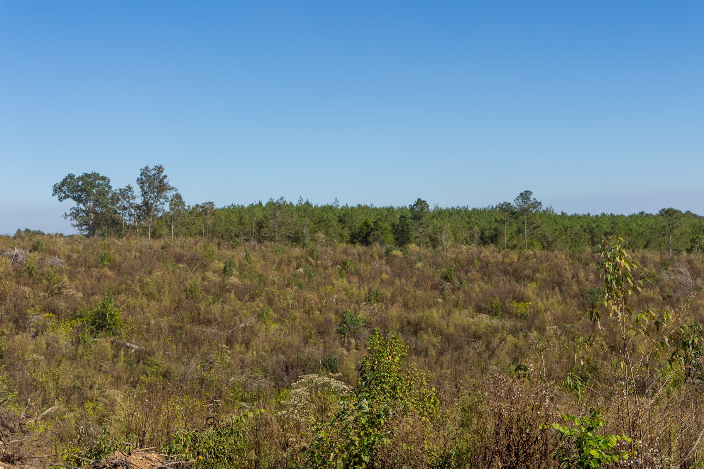 Meyer’s Ridge Tract 37 photo 6