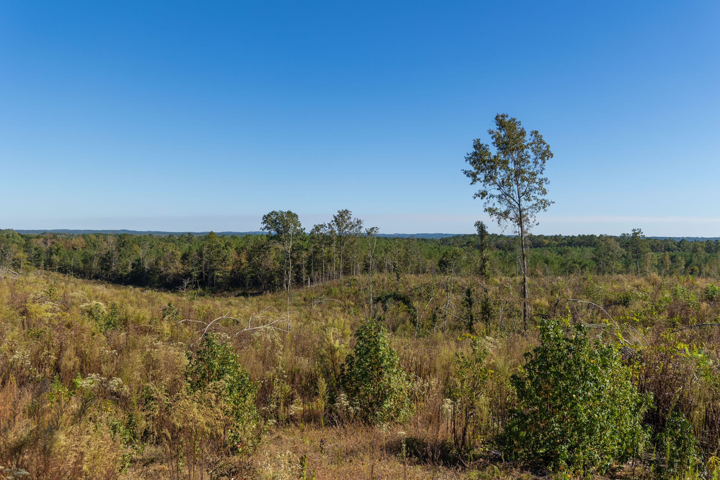 Meyer’s Ridge Tract 37 photo 4