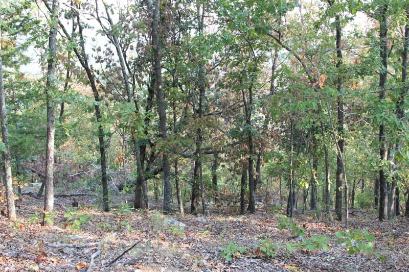 Lake View Ranch Tract 33 photo 1