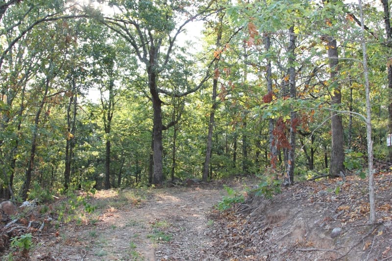 Lake View Ranch Tract 33 photo 2