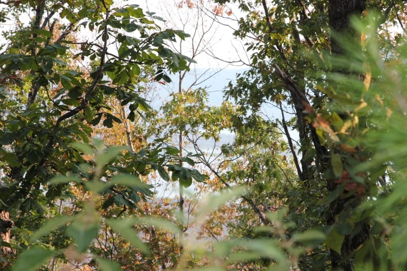 Lake View Ranch Tract 33 photo 3