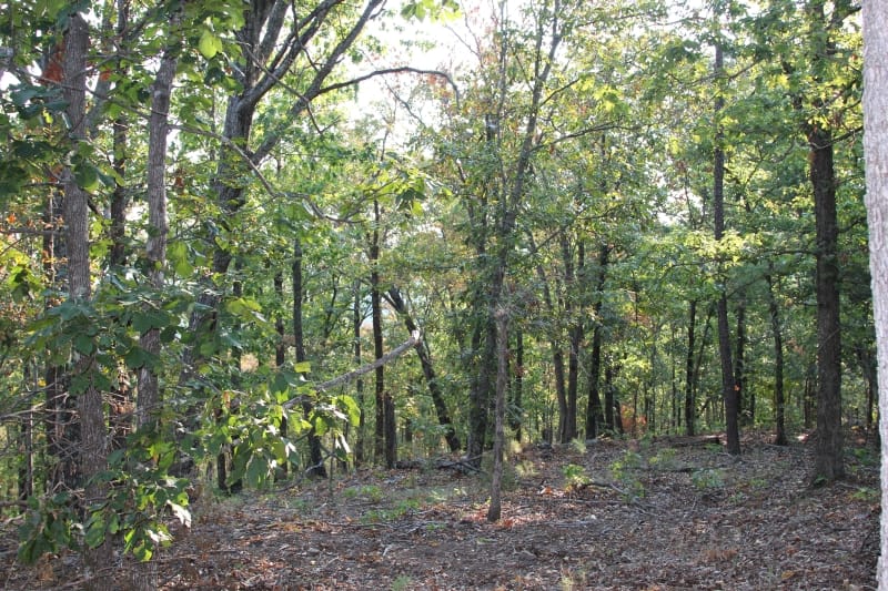 Lake View Ranch Tract 33 photo 4