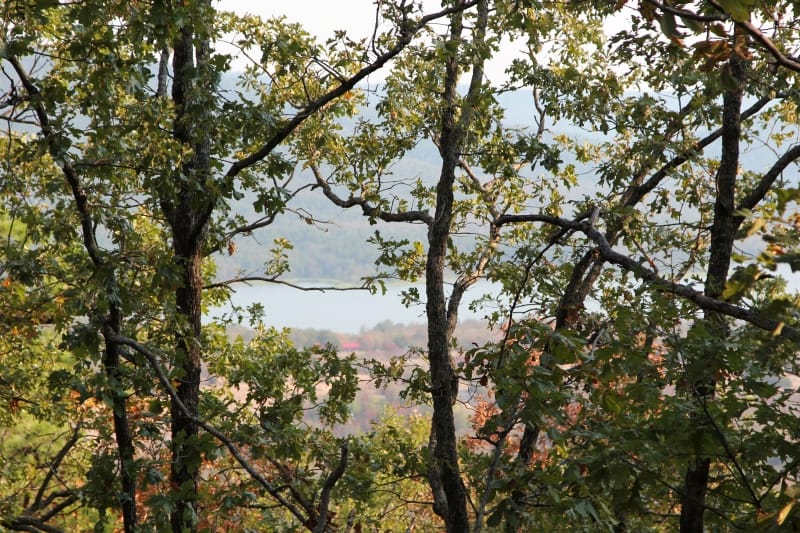 Lake View Ranch Tract 33 photo 6