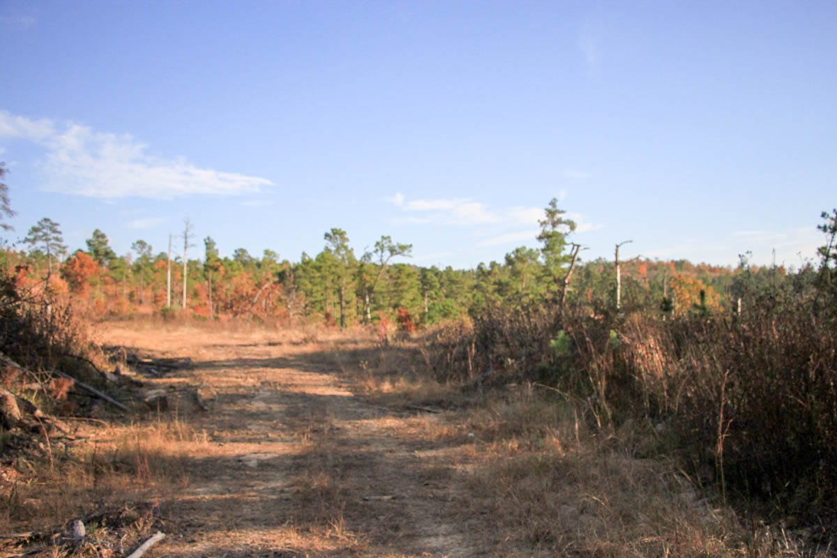 Stone Creek Phase III Tract 20 photo 2