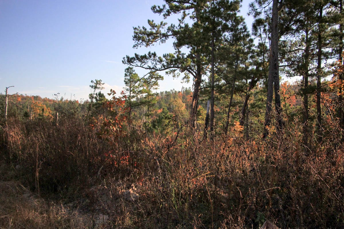 Stone Creek Phase III Tract 20 photo 3