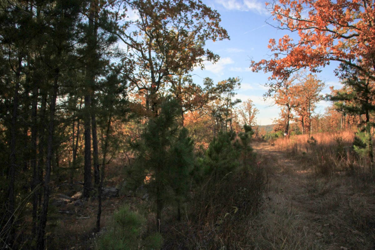 Stone Creek Phase III Tract 20 photo 5