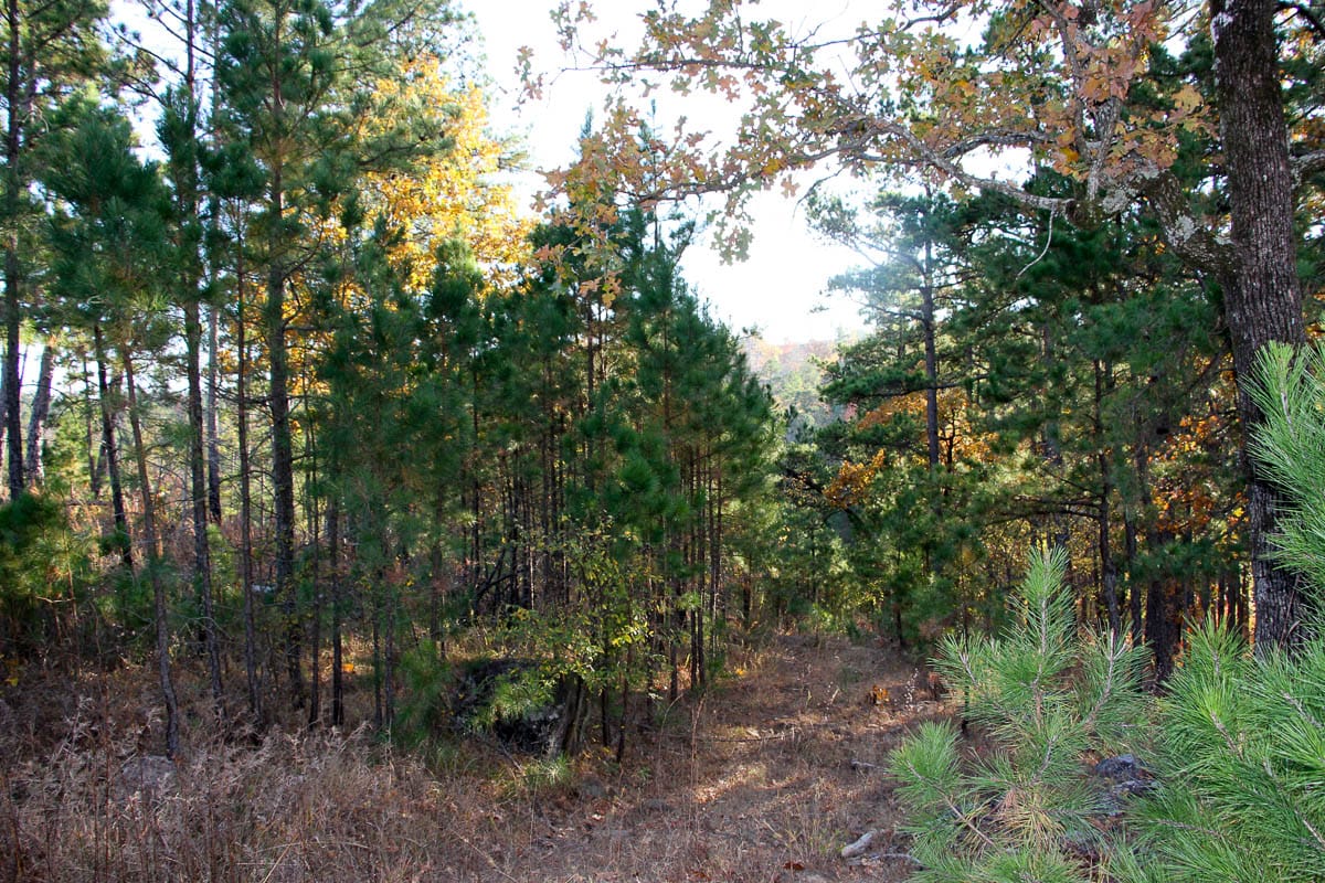 Stone Creek Phase III Tract 20 photo 7
