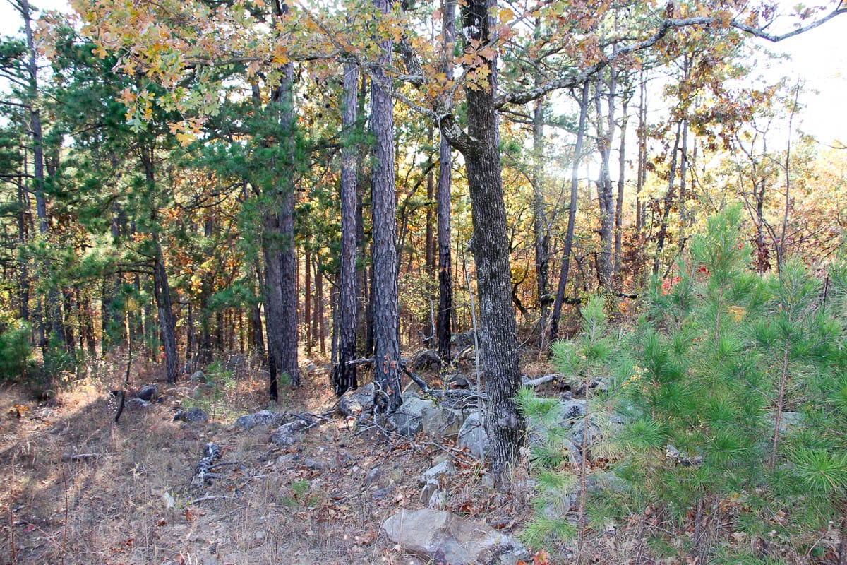 Stone Creek Phase III Tract 20 photo 8
