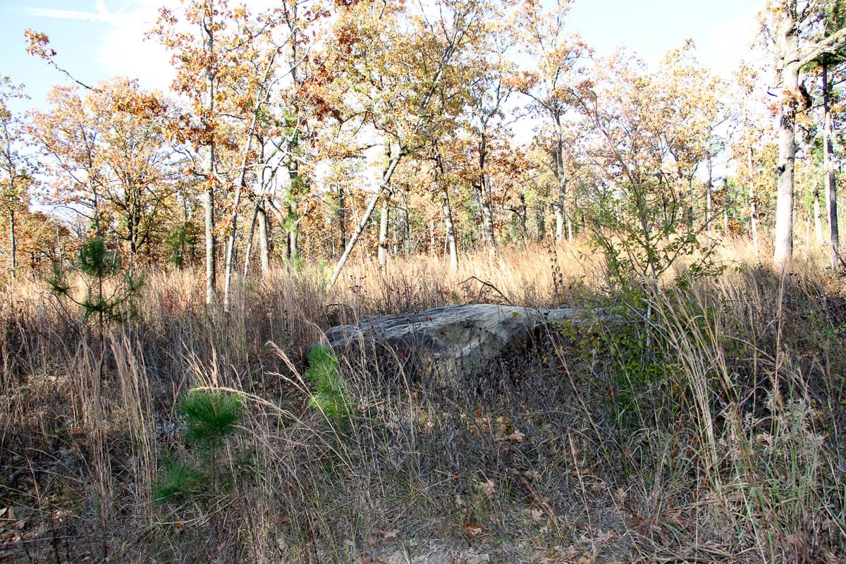 Stone Creek Phase III Tract 20 photo 10