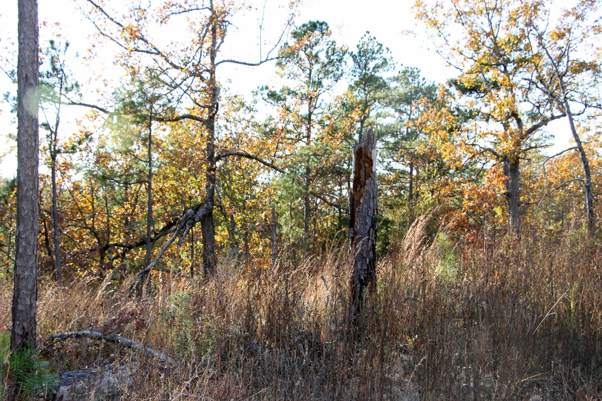 Stone Creek Phase III Tract 20 photo 12
