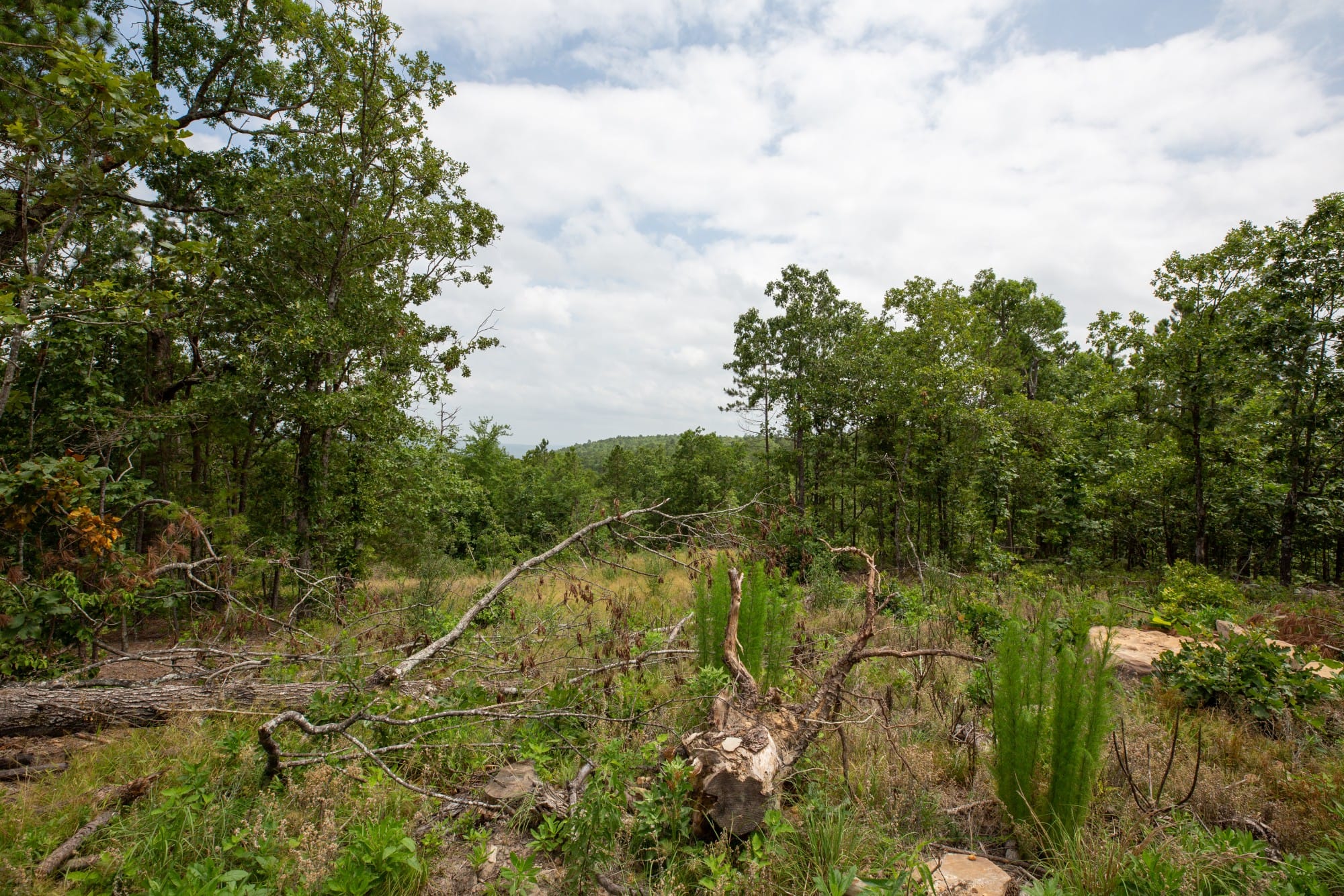 Eagle’s Nest Tract 28 photo 3