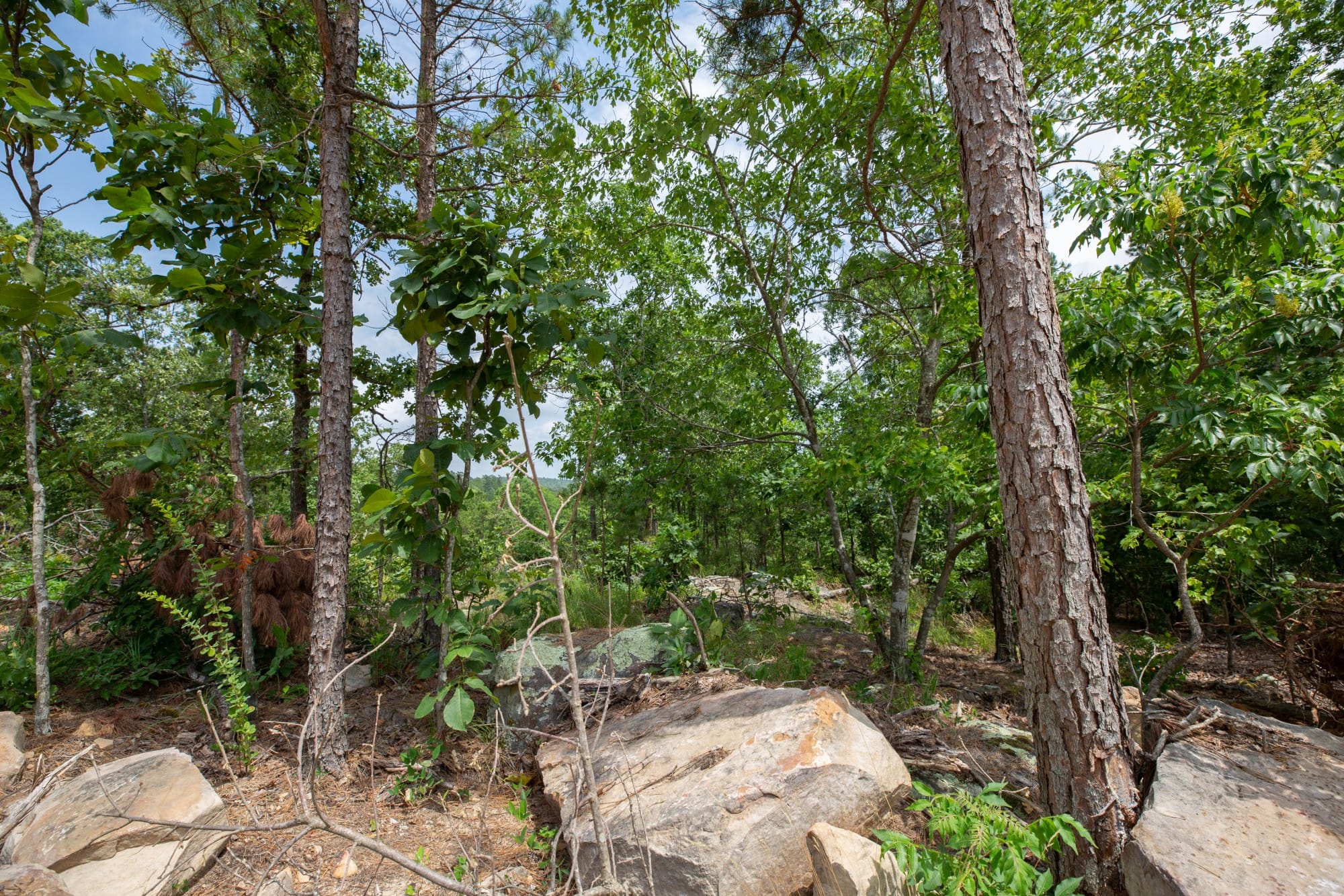 Eagle’s Nest Tract 28 photo 5