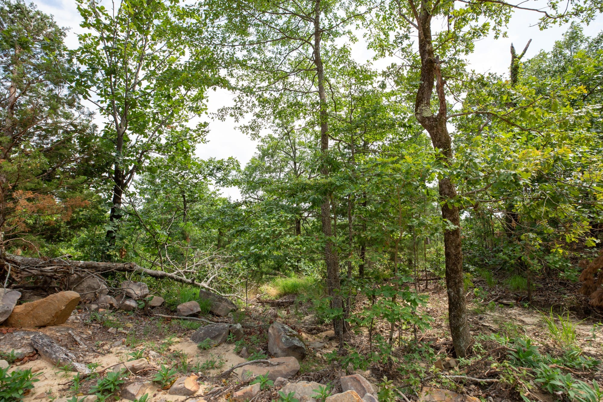 Eagle’s Nest Tract 28 photo 7
