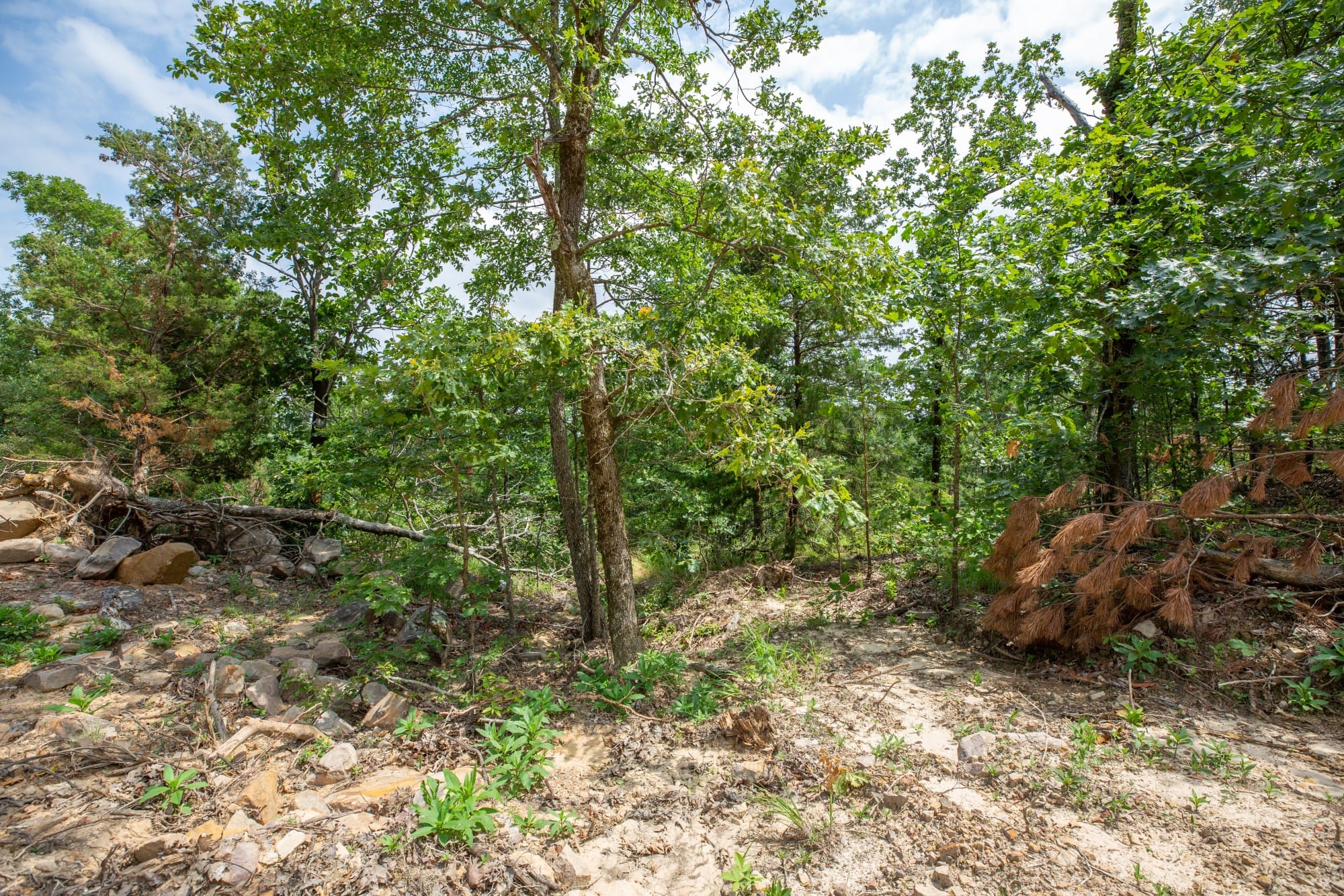 Eagle’s Nest Tract 28 photo 8
