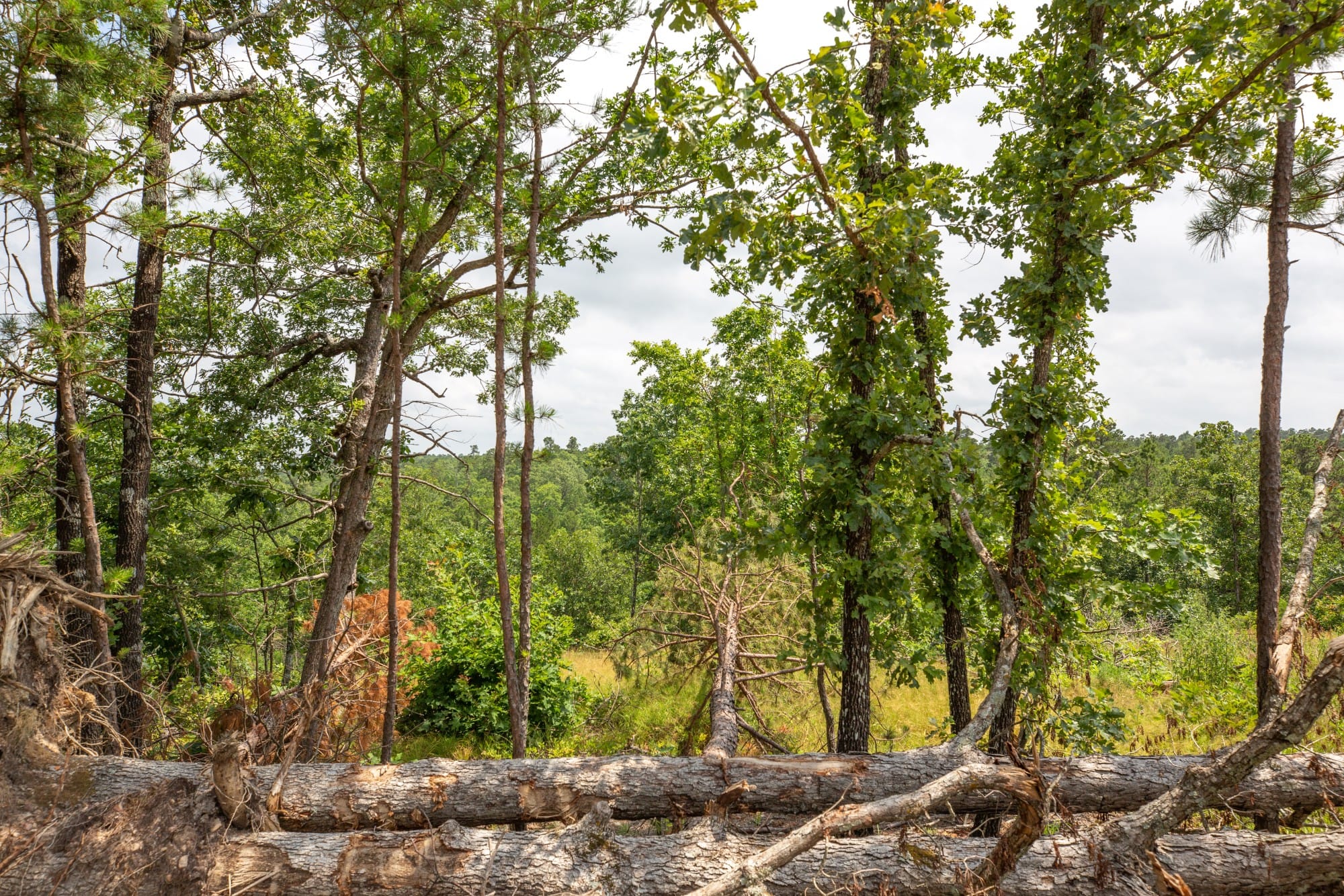 Eagle’s Nest Tract 28 photo 9